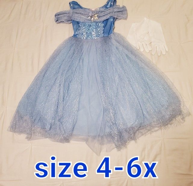 Cinderella Halloween Costume