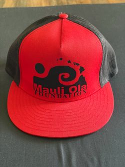 Snapback Hat