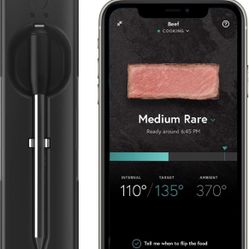 Smart Meat Thermostat 
