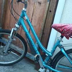 Giant Bike For Woman 24 " 