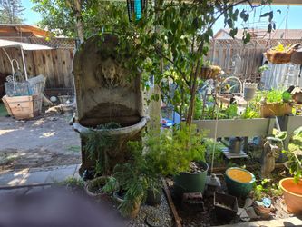 Beautiful fountain