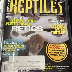 #4 Group: Reptile Magazines