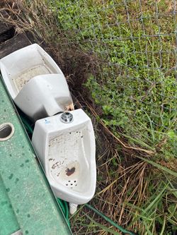 Crane Wall-Mount Urinal with Flush Valve