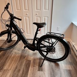 Specialized Electric Bike