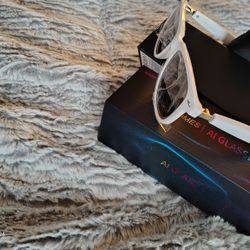 AI Translation Sunglasses 