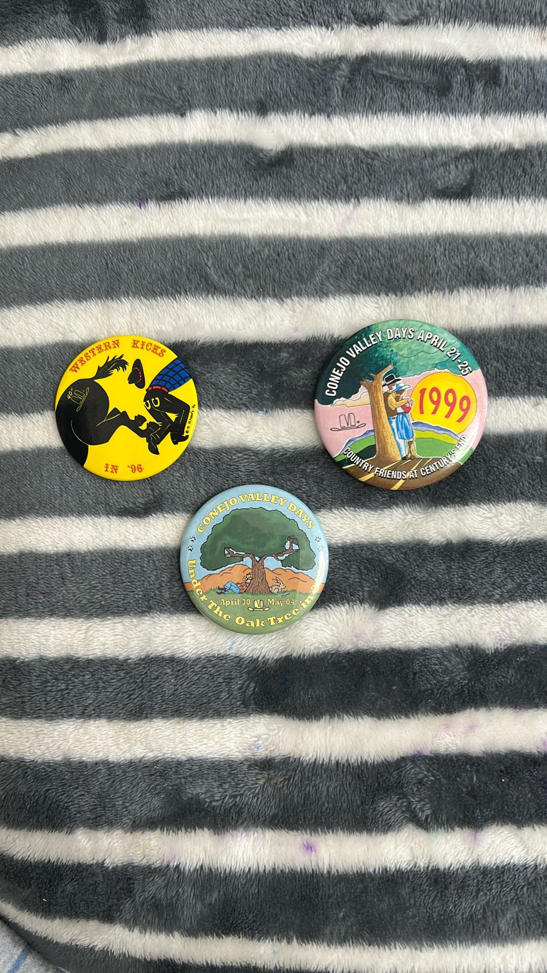 Conejo Valley Days Pins