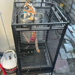 Bird Cage 