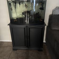 Bow Front Tank/stand