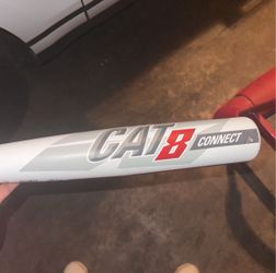 Cat8