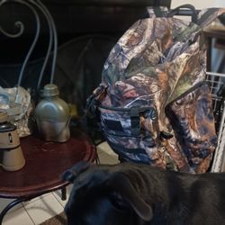 New Camo Backpack