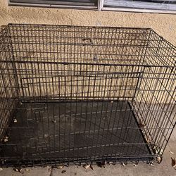Used dog kennel for sale cheap