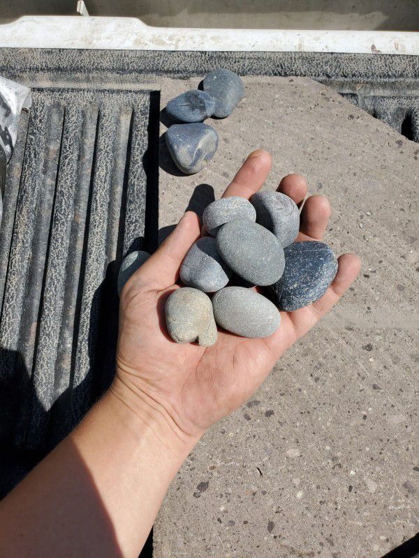 50lb bags of Mex beach pebbles Grey size 1-2" landscaping decor rocks pebbles garden. Suculents. Patio. Aquarium landscape river rocks