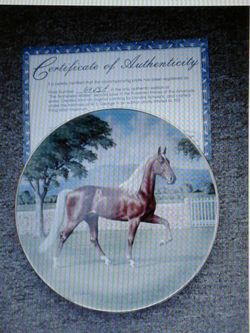Collectible plate "horse"