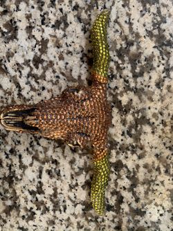 Crystal bull belt buckle