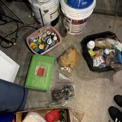 Hermit Crab Cage, + Everything You Need