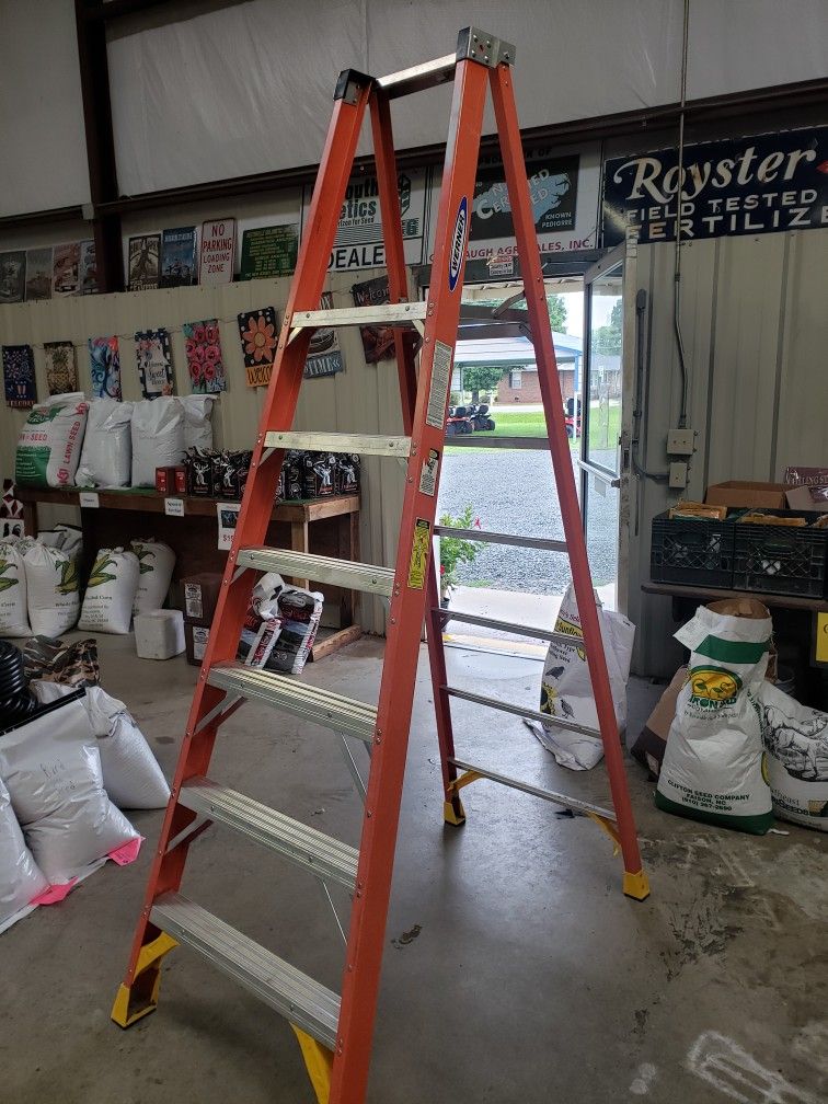 8ft Werner Ladder