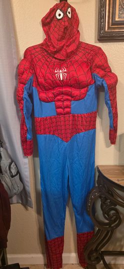 Spiderman costume