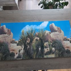 40 Gallon Tank Desert Background