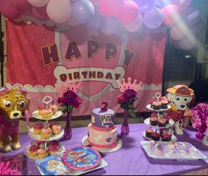 Paw Patrol Backdrop Girls