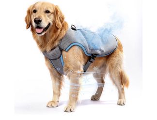 Dog Cooling Vest