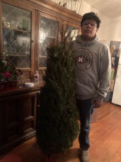 CHRISTMAS TREE (FREE DELIVERY)