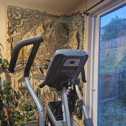 🏋️‍♂️ FOR SALE: Not-So-Humble Elliptical Machine – Nautilus of the Gods 🚀