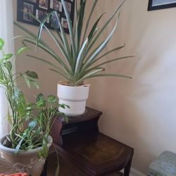 Ladder End Table Antique