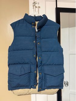 Blue Vest
