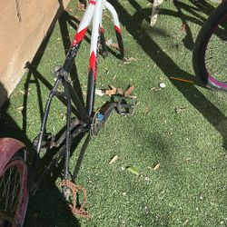 Throne Goon 29” Black Ice Frane