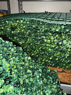 Faux Box Hedge