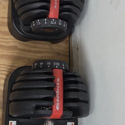Bowflex SelectTech 552 Adjustable Dumbbells 