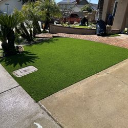 Turf