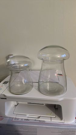 Mushroom glass jars
