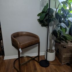 Genuine Leather and Brass Chair