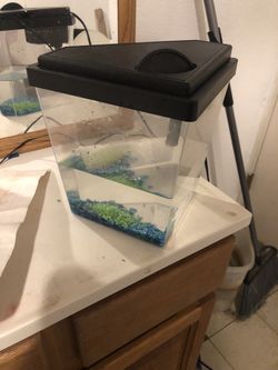 2.5 Gallon Fish Tank