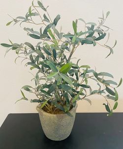Threshold Studio McGee 37 Inch Artificial Olive Tree