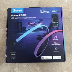 Govee RGBIC