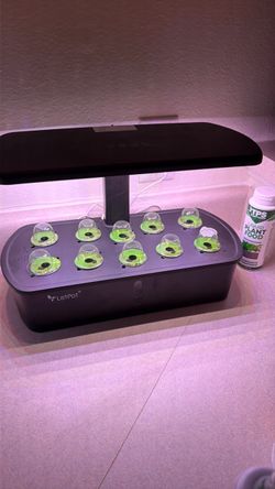 Let’s pot