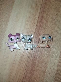 Lps dachshund, shorthair and collie