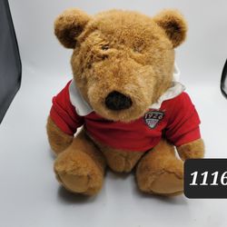 Rare Plush Bear!