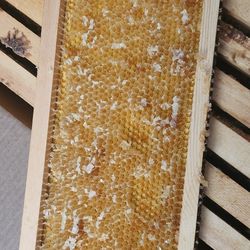Medium Box Bee Hive Frames