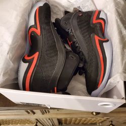 Air Jordan Xxxvi Size 11.5