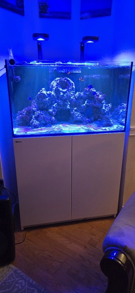 Red Sea Reefer 250
