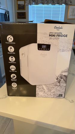Mini Fridge with Temperature Control