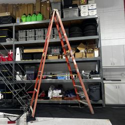 12 ft Ladder