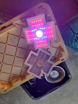 LED Grow Light