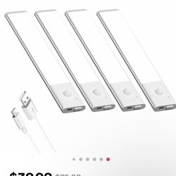 Motion Sensor LED Light Set Of 4