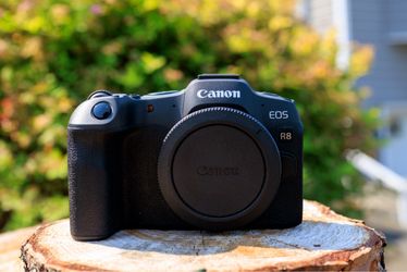 Canon R8 Mirrorless Camera and RF24-50mm F4.5-6.3 IS STM Lens