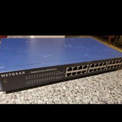 Netgear Prosafe 24 Port