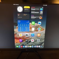 Sceptre 4K 27" IPS Monitor HDMI, Display Port